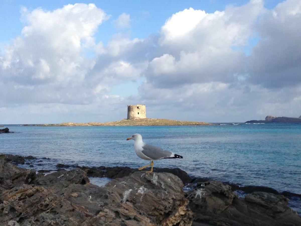 Maria Antonietta House Villa Porto Torres Kültér fotó